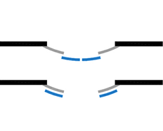 002-polukrugl-vognutie-dveri2